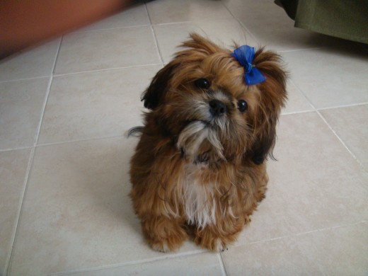 Esta es Jessy Esta es Jessy